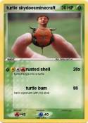 turtle skydoesm