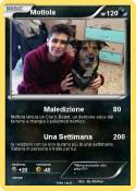 Mottola