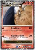 Dabing cat