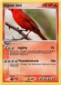 virginia bird