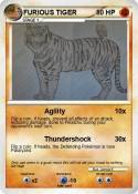 FURIOUS TIGER