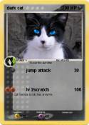 dark cat