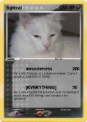 fightcat