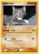 spider cat jr