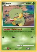 Turtwig