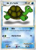 Mr. G's Turtle