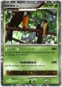 toucans