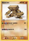 Boxer box 3