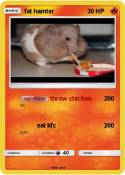 fat hamter