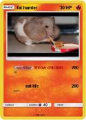 fat hamter