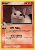 MR.KATT