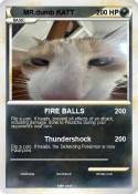 MR.dumb KATT