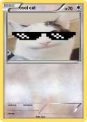 cool cat