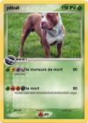 pitbull
