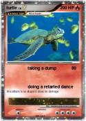 turtle