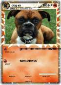 dog ex