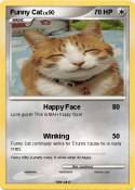 Funny Cat