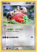 baby pig