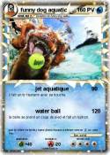 funny dog aquat