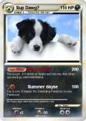 Sup Dawg?