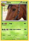horse