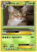 kitty cat