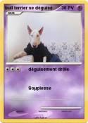 bull terrier se