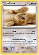 Kitten