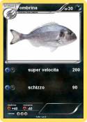 ombrina