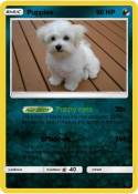 Puppies
