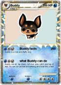 Buddy