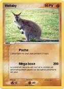 Wallaby