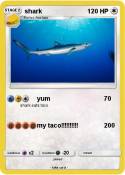 shark