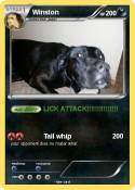 Winston