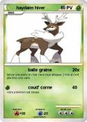 haydaim hiver