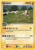 trio vache