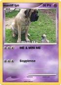 mastiff fµn