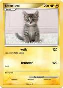 kitten