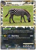Adam