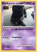 mastiff pondre