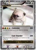 Pug
