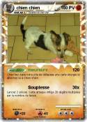 chien chien