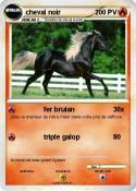 cheval noir