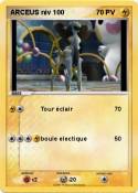 ARCEUS niv 100