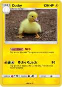 Ducky