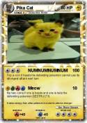Pika Cat