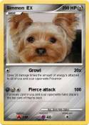 Simmon EX