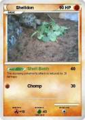 Shelldon