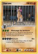 Charcane