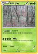 TREE EX